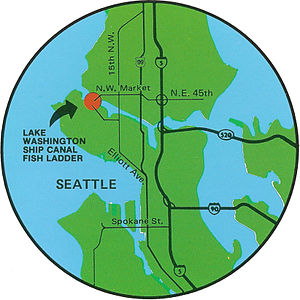 Locator map of the Lake Washington Ship Canal ...