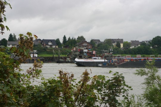 Fidelitas aground Rhine