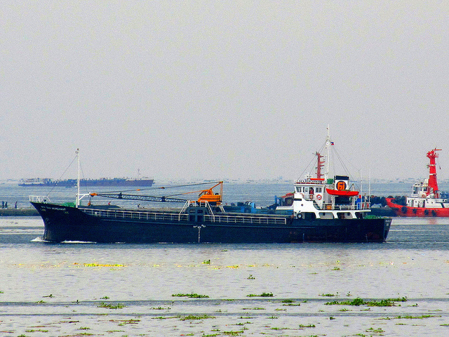 Sea Merchant
